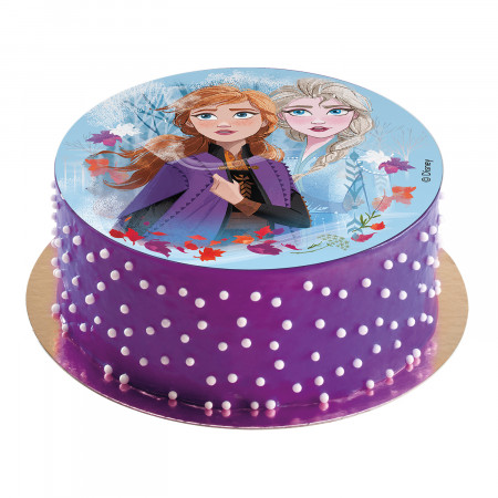 Disque A Gateau Azyme La Reine Des Neiges