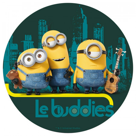 Decoration Gateau Minions En Sucre
