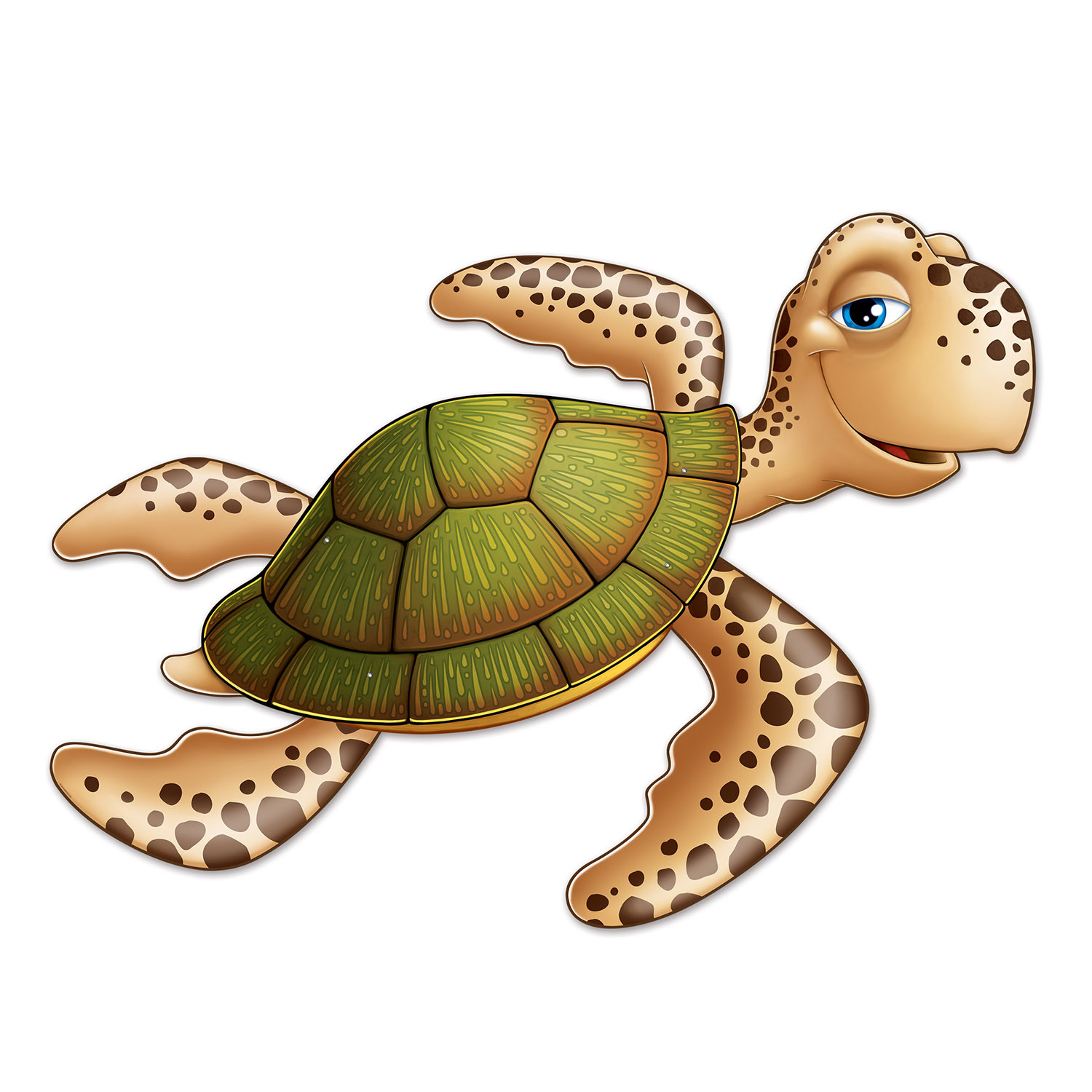 Decor Tortue
