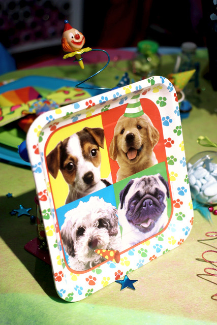 Fete Theme Chien Prix Renversants