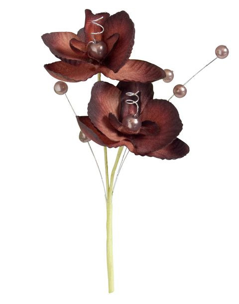 Orchidee Chocolat Orchidee Deco A Prix Discount Orchidee Chocolat Orchidee Deco A Prix Discount