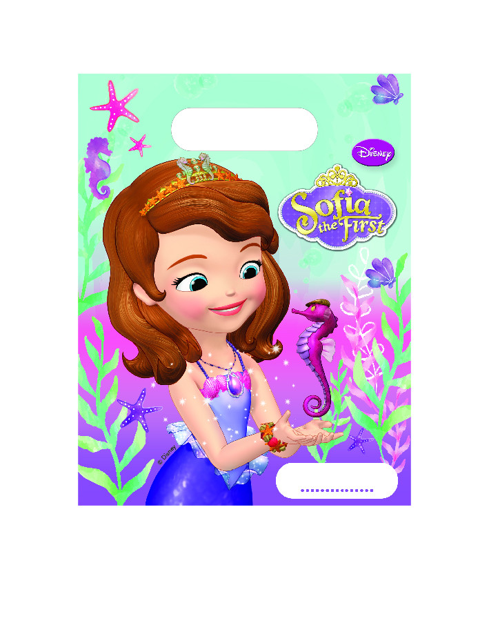 Invitations Anniversaire Princesse Sofia X6 Invitations Decorations Et Accessoires De Fetes