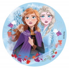 Anniversaire La Reine Des Neiges Deco Theme La Reine Des Neiges Frozen Anniversaire La Reine Des Neiges Deco Theme La Reine Des Neiges Frozen