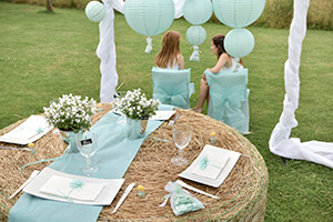 Anniversaire Champetre Deco Champetre Anniversaire Champetre Deco Champetre