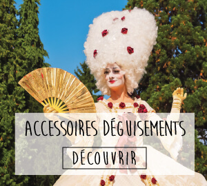 accessoires deguisement adultes ou enfants accessoires deguisement adultes ou enfants