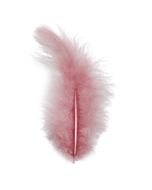 20 Plumes vieux rose