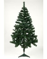 Sapin Canadien – 300 branches