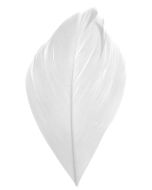 Sachet 100 plumes blanches