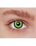 Lentilles de contact - loup vert