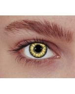 Lentilles de contact - beige classique