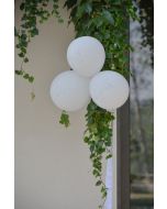Ballons colombes blanc x8