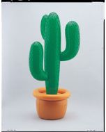 Cactus gonflable