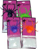 Araignée colorée et toile araignée 