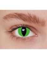 Lentilles de contact - chat vert