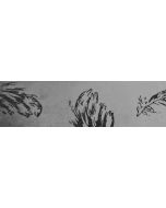 Chemin de table organza blanc plumes paillettes noires - 30 cm x 5 m