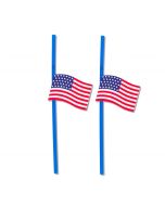 6 pailles drapeau USA