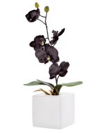 pot orchidée noir