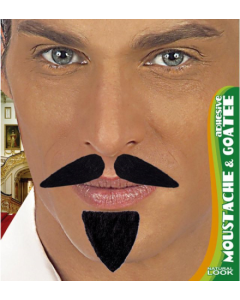 Moustache et bouc adhésifs noirs