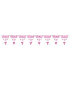 Guirlande de fanions Baby Shower fille