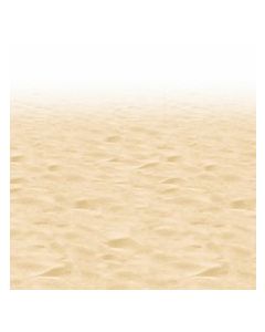 Décor plage de sable fin