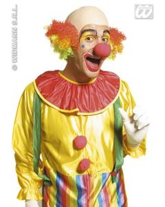Perruque adulte "clown" - rouge / vert