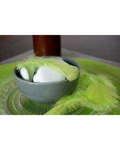 Plume déco - Vert anis