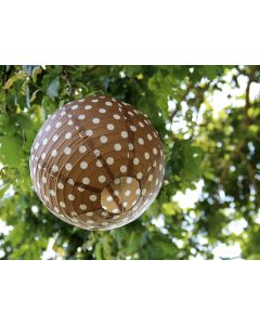 lampion pois 25 cm chocolat