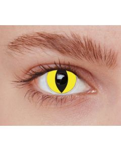 Lentilles de contact - chat jaune