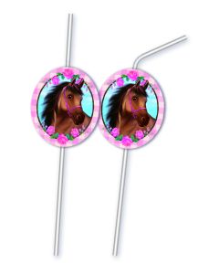 6 pailles cheval