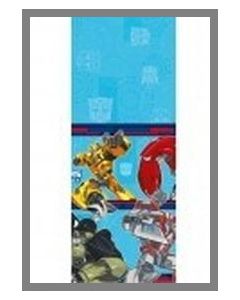 Nappe Transformers