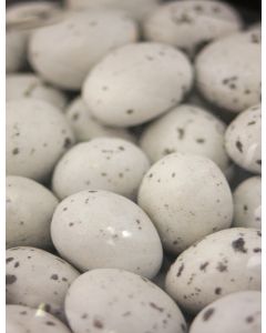 Dragées oeufs de mouettes
