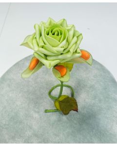 rose à dragées vert