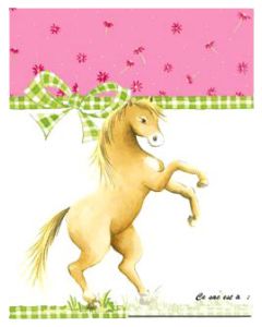 sacs cadeaux  poney