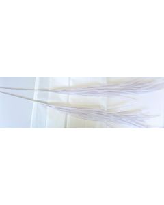 branchage deco