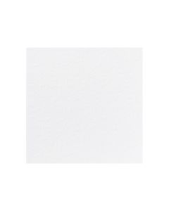 12 serviettes jetables blanches