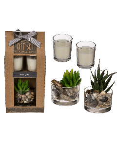 Set de bougies - cactus à petit prix