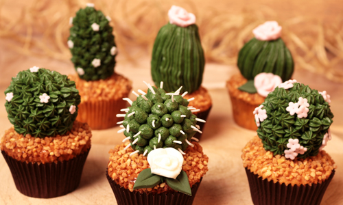 gateau cupcake cactus